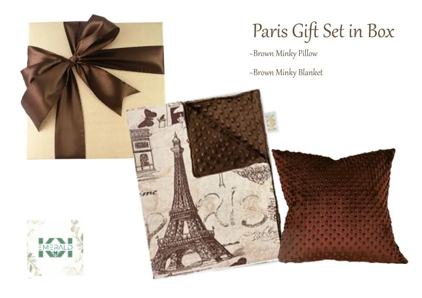 Gift Set Paris Blanket with matching pillow, Baby I Child I Toddler I Teen I Adult size Beige or Brown Minky Blanket Throw gift in box