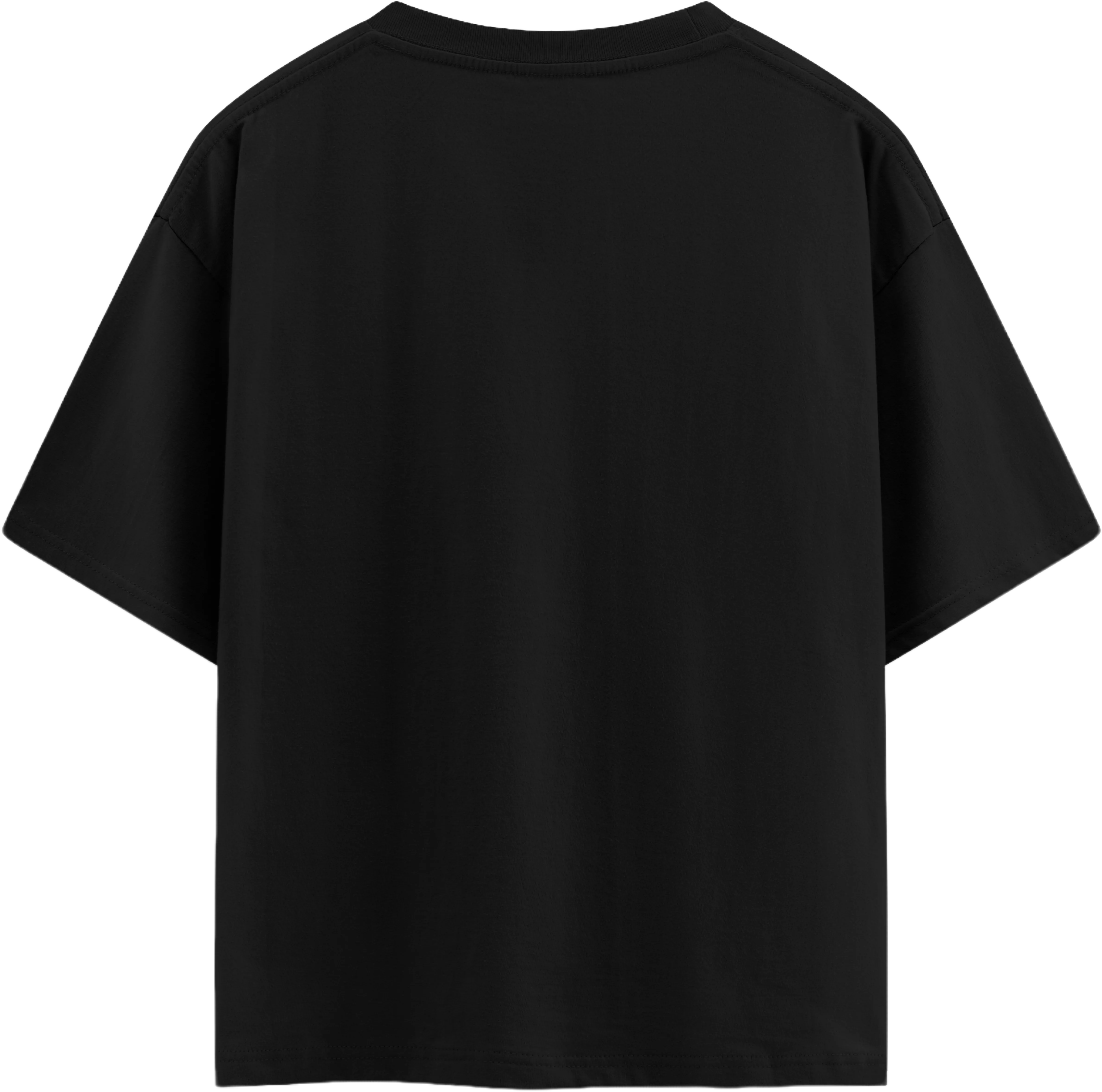 oversized printed t-shirt (SILVERS RAYLEIGH)