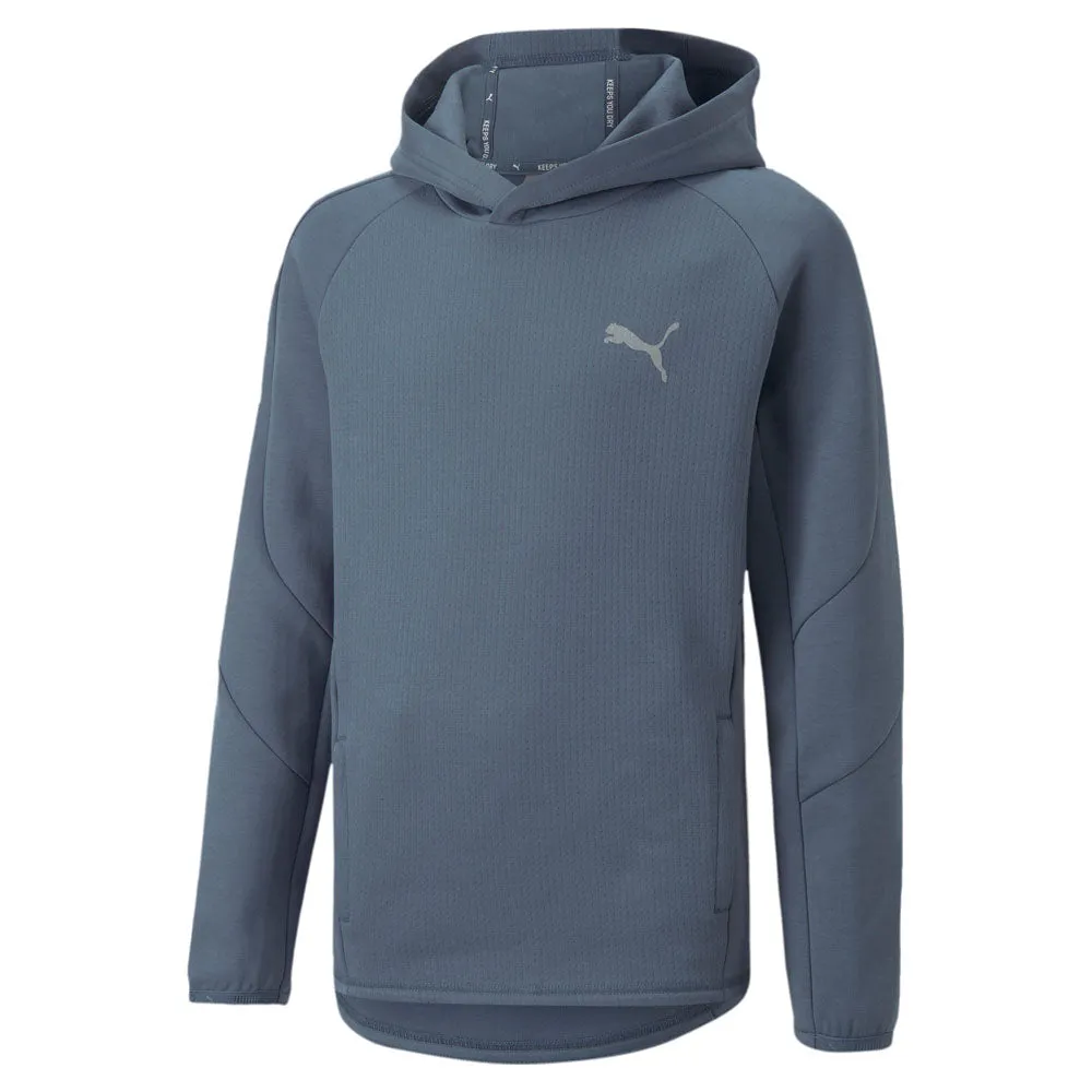 Puma Youth Evostripe Hoodie